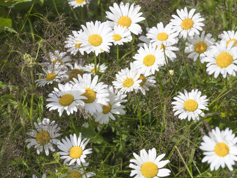 fotoelamys_kiuruvesi3